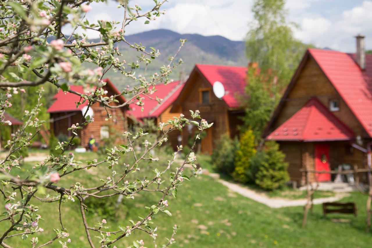 Teremok Guest House Вишка Екстериор снимка
