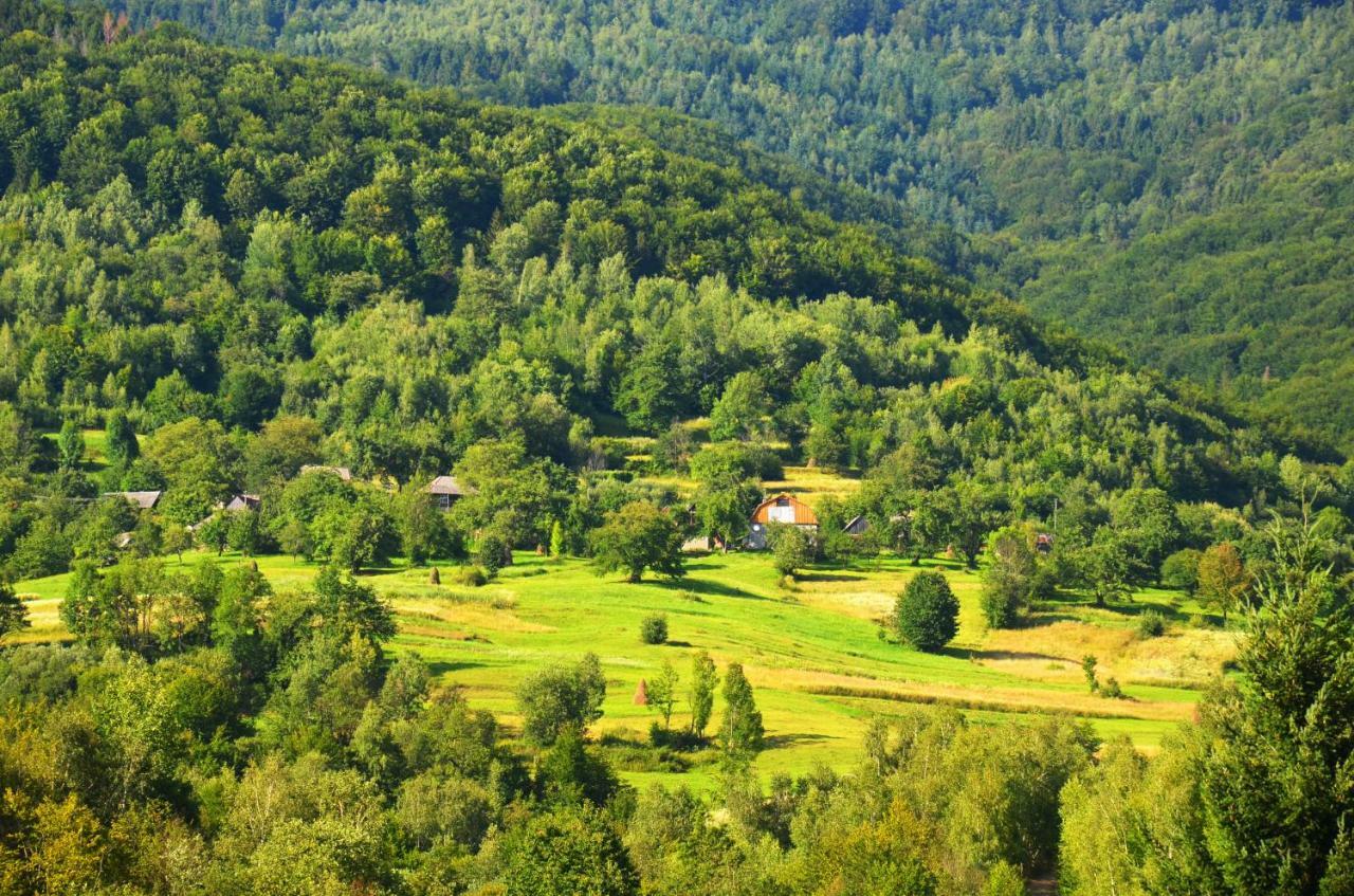 Teremok Guest House Вишка Екстериор снимка